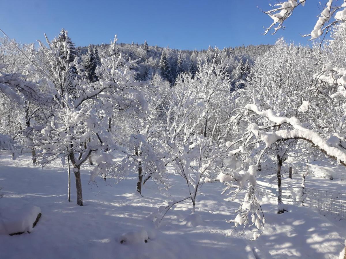 Appartamento Biljevina Saborsko Esterno foto